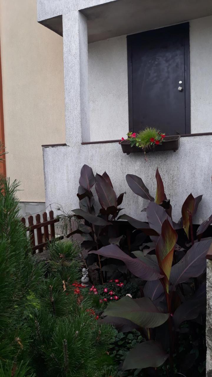 Sauliaus Apartamentai Panevėžys Zewnętrze zdjęcie
